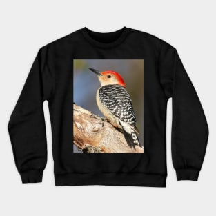 Red Bellied Woodpecker Crewneck Sweatshirt